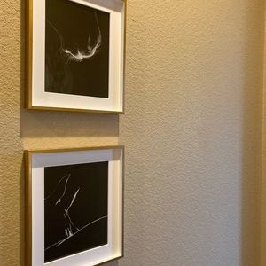 Raphael Macek Equine imagery